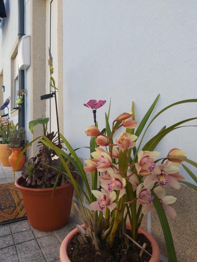 Alto Da Lapa Luxury House Free 1 Parking Place Villa Oporto